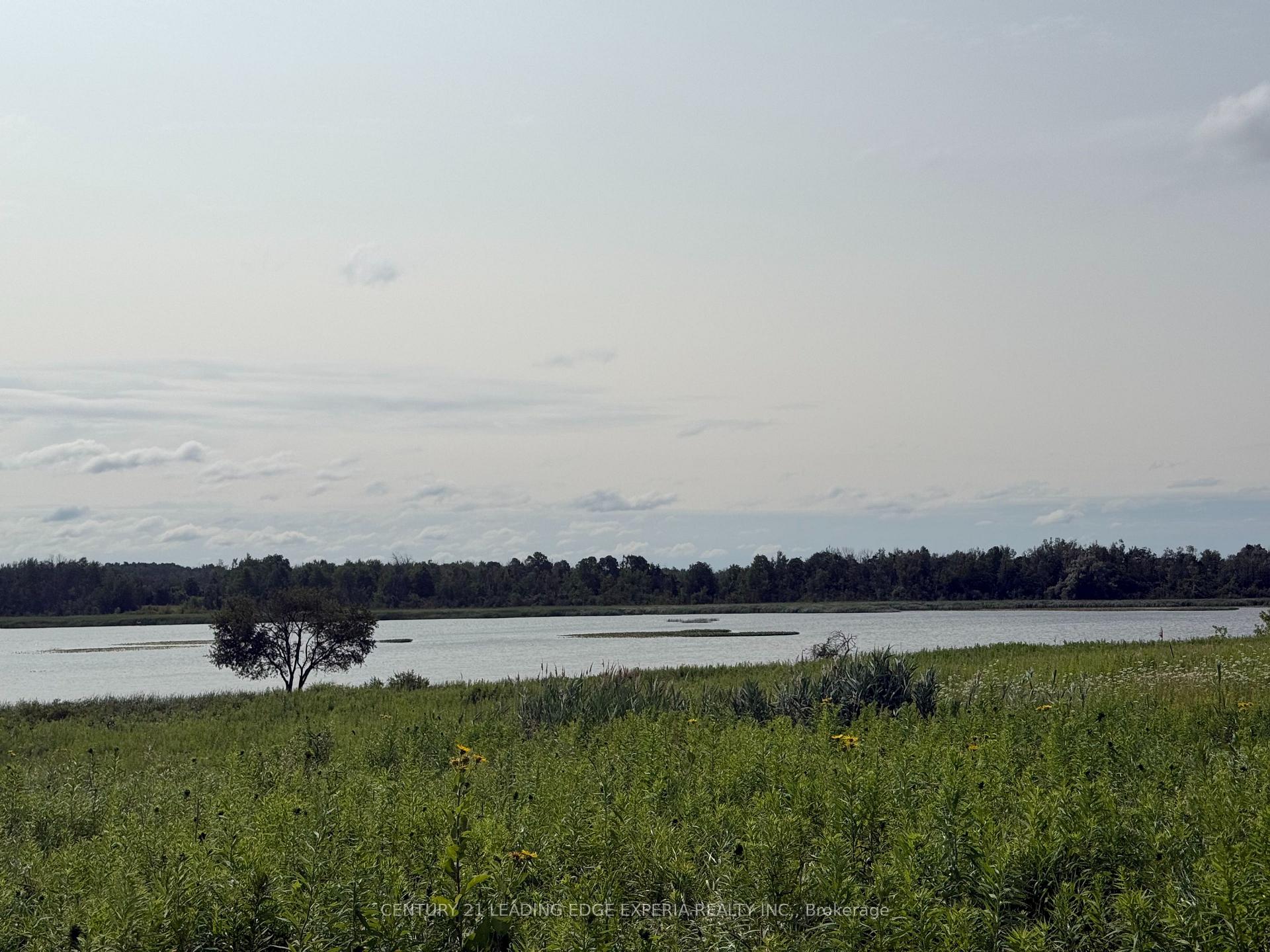 X13704118 Image