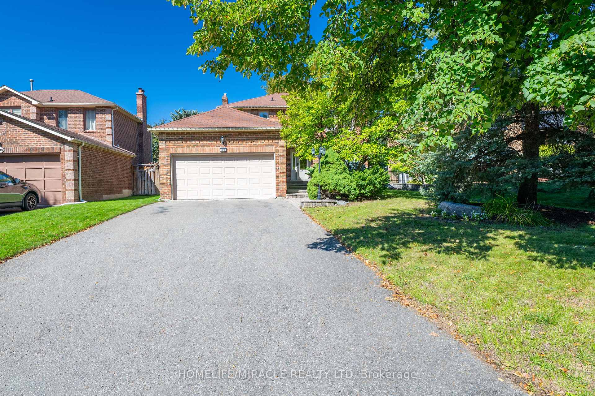 W13833054 Image