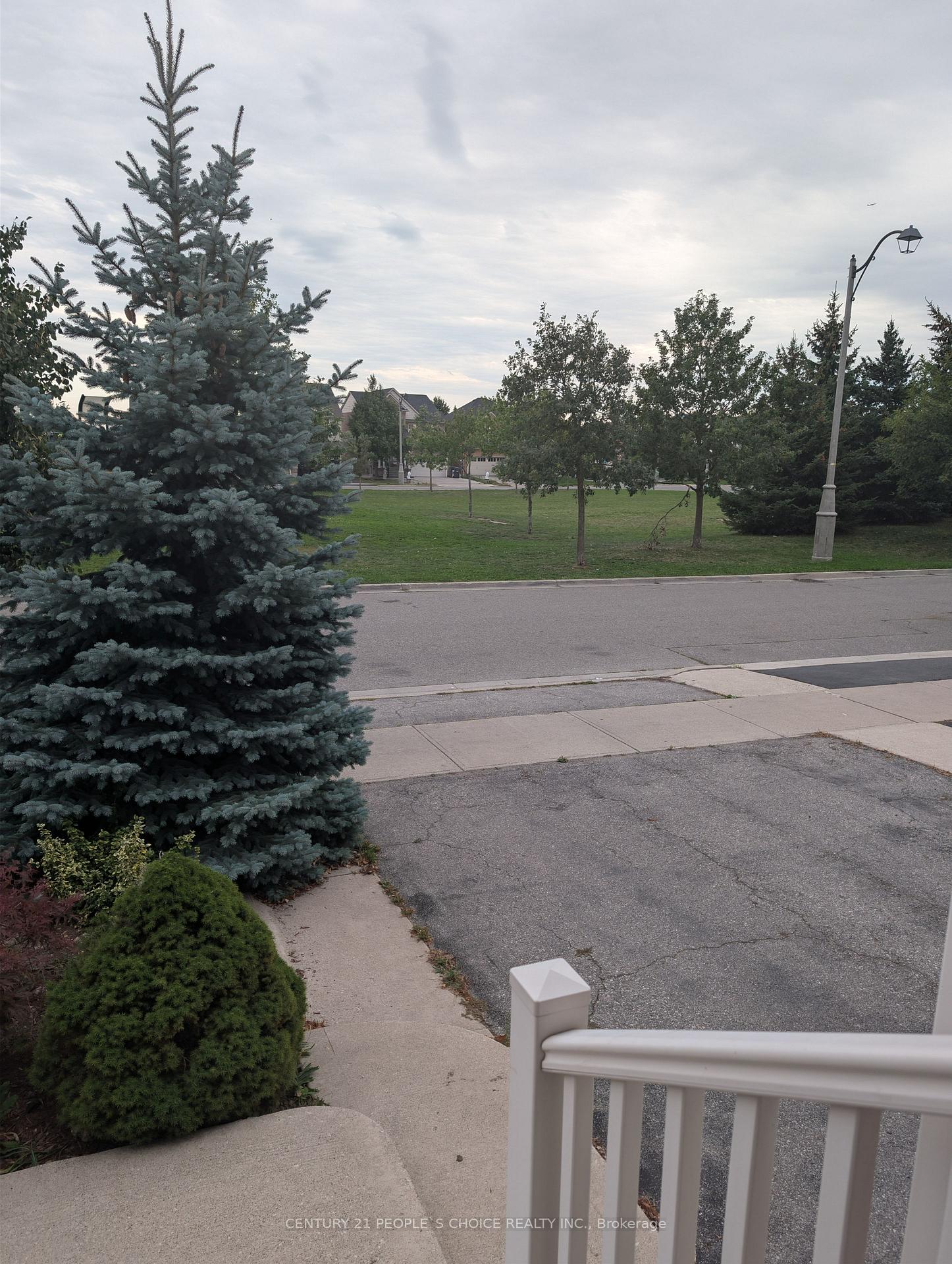 W13778138 Image